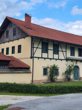 Apartma Sava